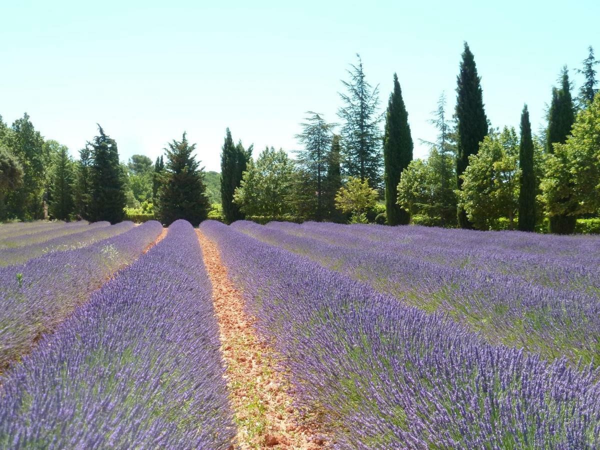 Luberon & Lavandes Roussillon en Isere Eksteriør bilde